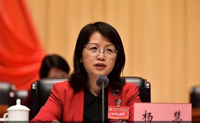 星欧平台官方：花4000万买别墅、850万装修的杨慧，被判14年3个月